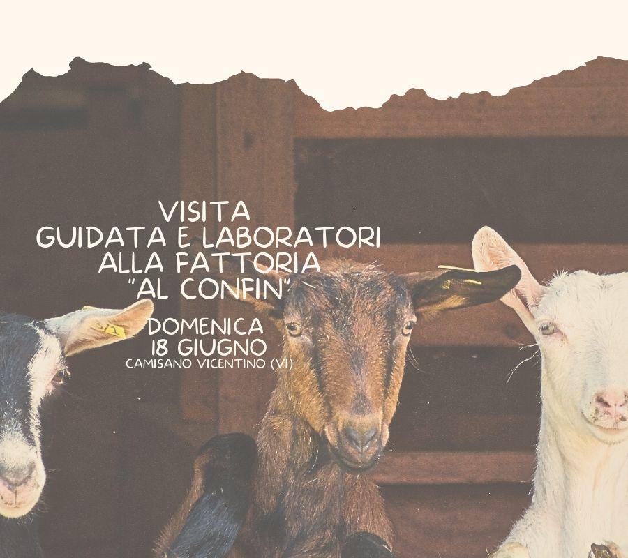 coltiviamo un mondo migliore
