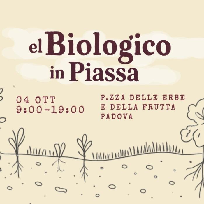Biologico in piassa