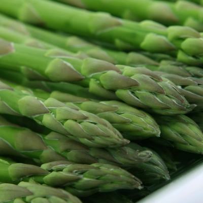 ASPARAGI El Tamiso