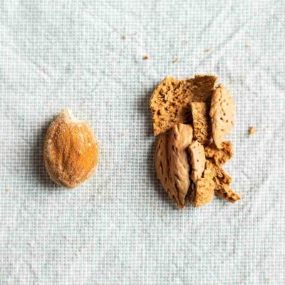 Mandorle Genco di Puglia
