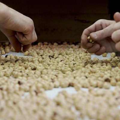 "NOCCIOLA PIEMONTE IGP" TOSTATA BIO