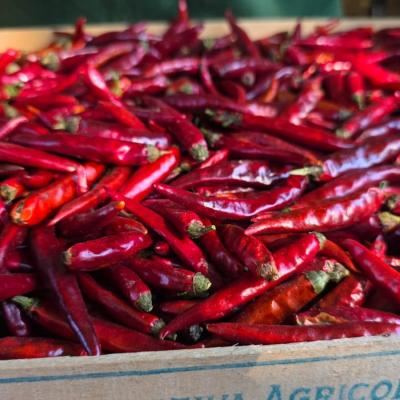 Piment de Cayenne