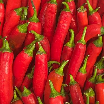 Piment de Cayenne