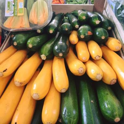 ZUCCHINE